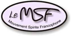 Logo LMSF